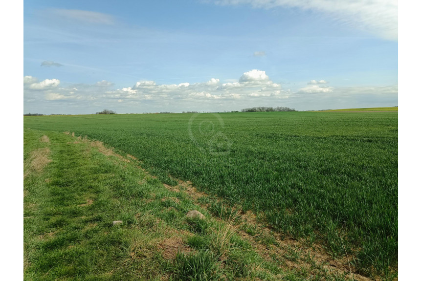 średzki, Kostomłoty, Działka obok Kostomłot, blisko autostrady A4